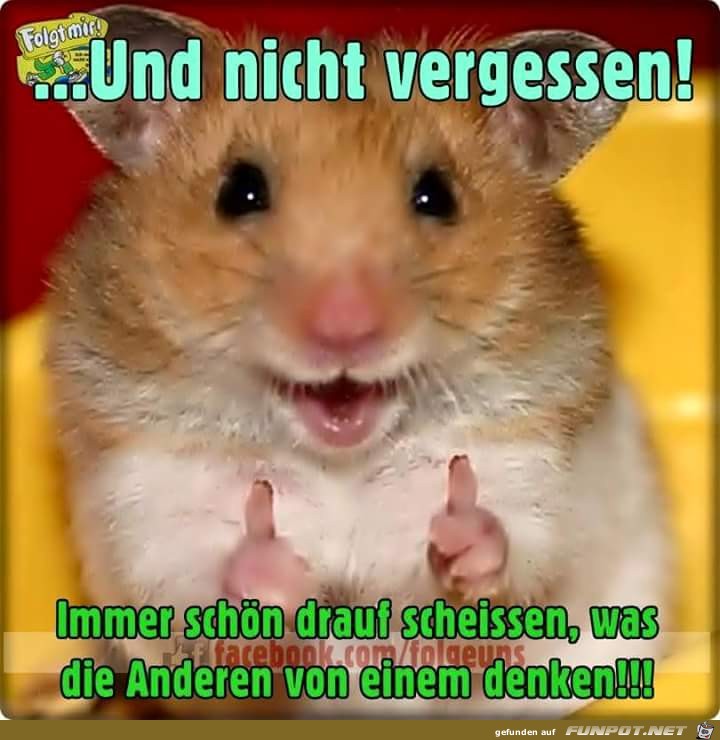 nicht vergessen