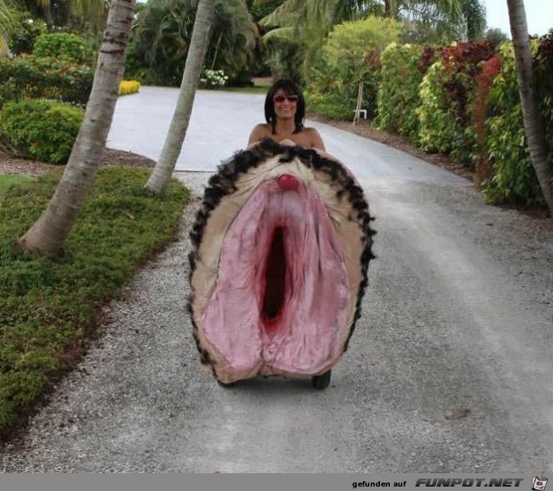 mode-auf-hawai mode-auf-hawai