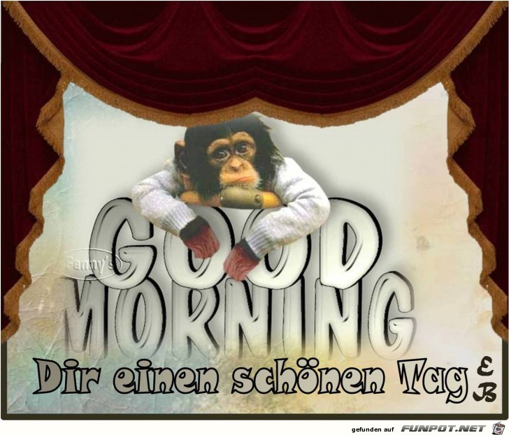 Guten Morgen