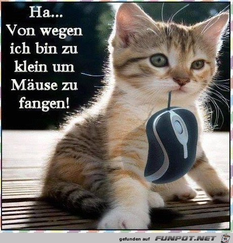 von-wegen von-wegen