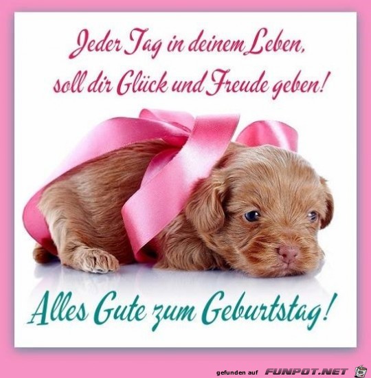 Jeder Tag Jeder Tag