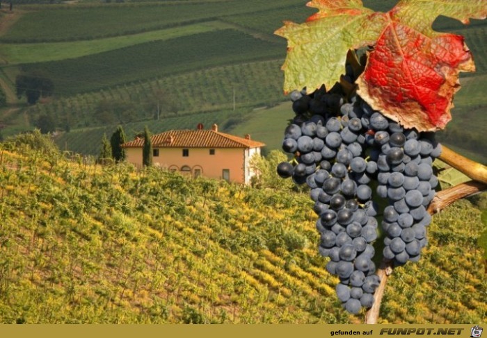 Die schoensten Wein-Gegenden der Welt 43 Die schoensten Wein-Gegenden der Welt 43
