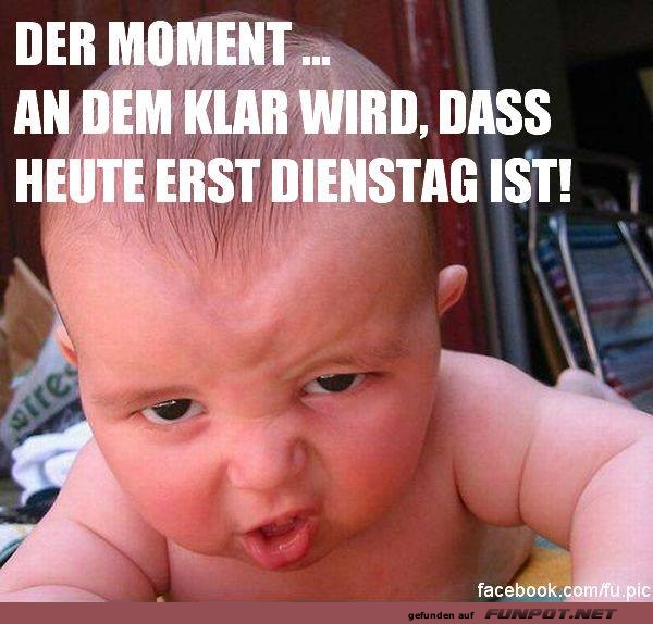 Erst heute Dienstag Erst heute Dienstag