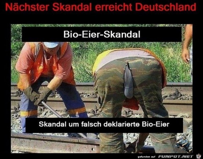Bio Eier Skandal Bio Eier Skandal