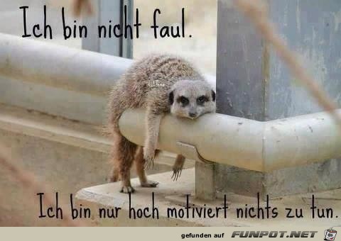 faul faul