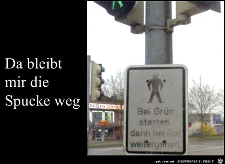 witzige Bilder