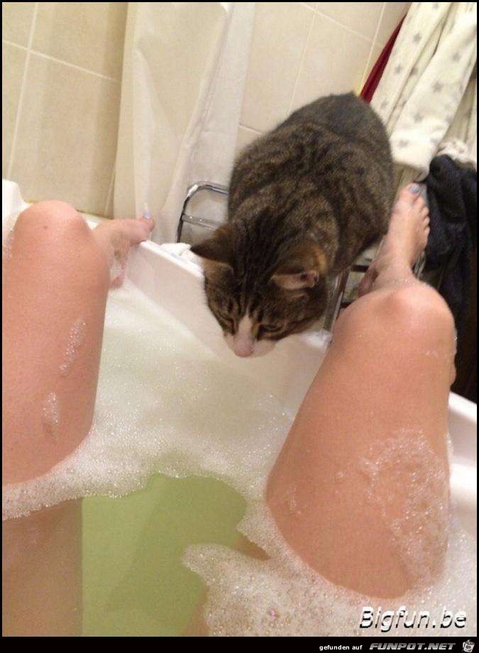 Bathing20 Privacy 2 wtmk Bathing20 Privacy 2 wtmk