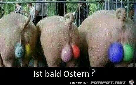 Ist bald Ostern? Ist bald Ostern?