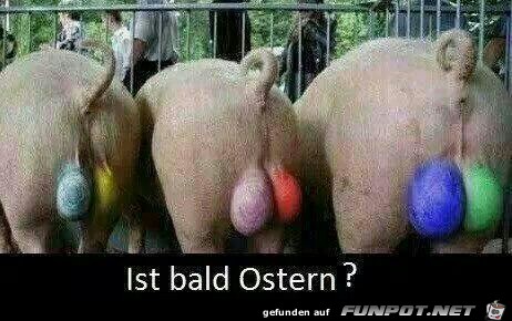 Ist bald Ostern?