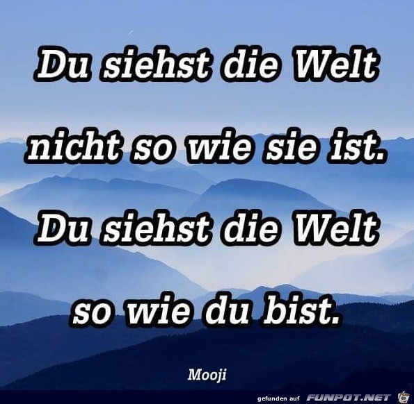 du siehst die Welt