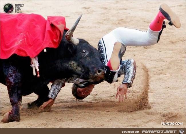 Bulls Brutal Revenge Funzug org 19 Bulls Brutal Revenge Funzug org 19