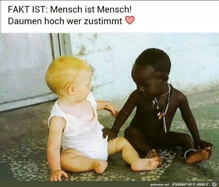 Fakt ist Mensch