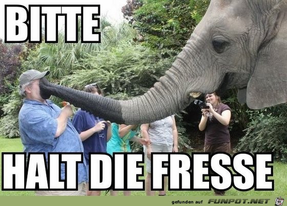 bitte halt die Fr.... bitte halt die Fr....