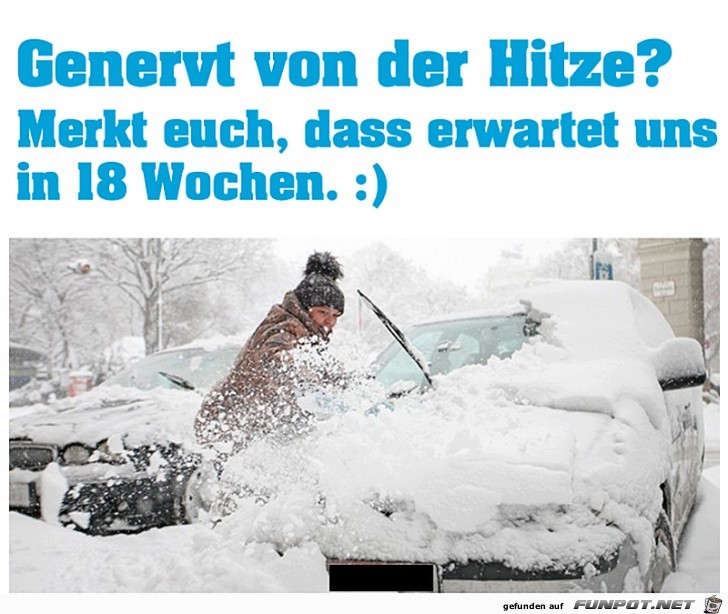 Genervt durch die Hitze Genervt durch die Hitze