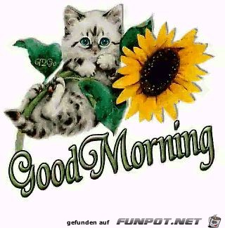 good moning