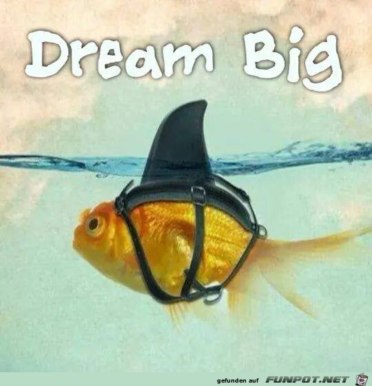 Dream big Dream big