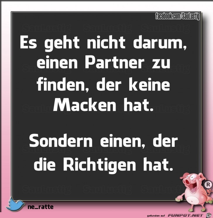 Den richtigen Partner finden Den richtigen Partner finden