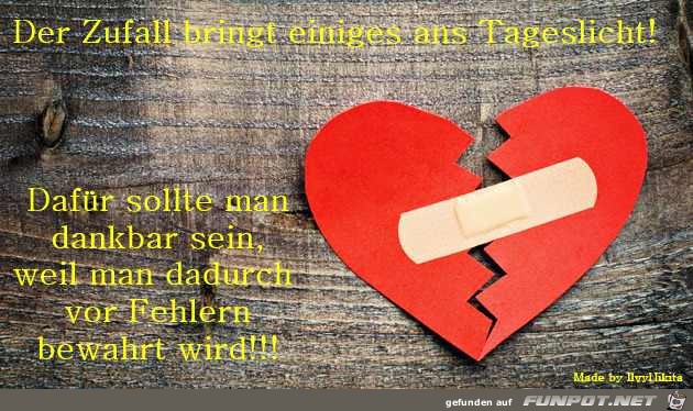 der Zufall bringt einiges ans Tageslicht der Zufall bringt einiges ans Tageslicht
