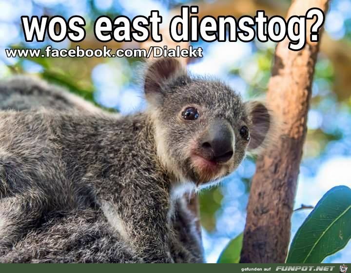 Wos erst Dienstog Wos erst Dienstog