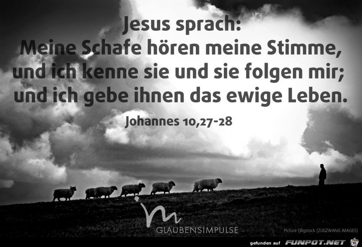Johannes 10 27-28