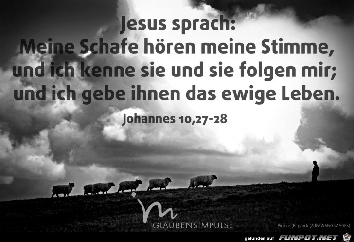Johannes 10 27-28 Johannes 10 27-28