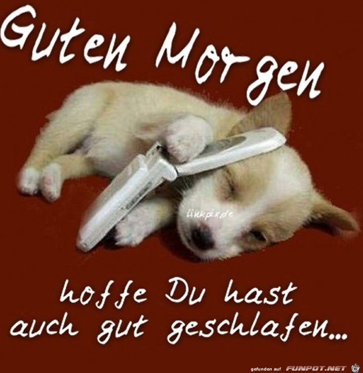 Guten Morgen 