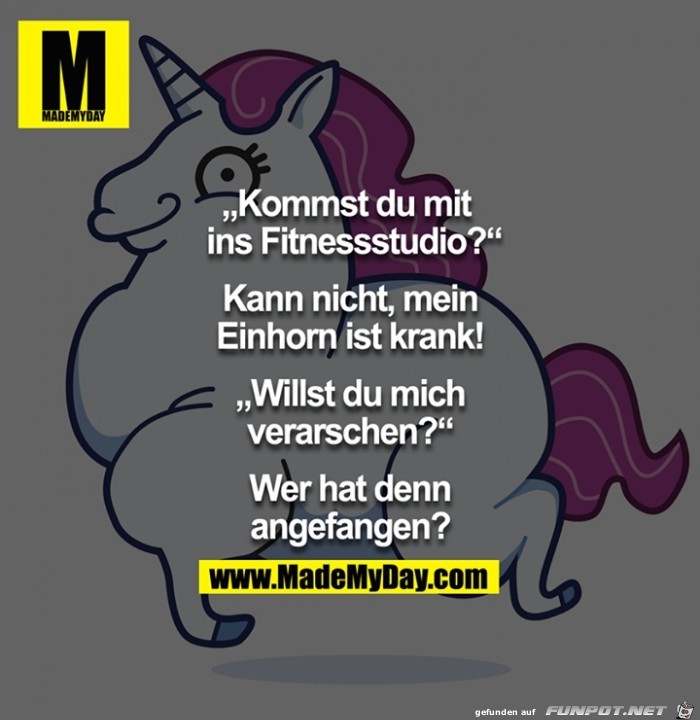 Fitness Fitness