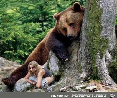 stalker-baer stalker-baer