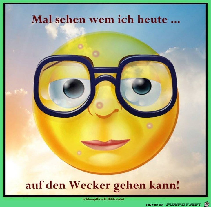 Mal sehen Mal sehen