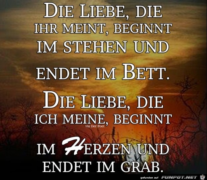 schöne Sprüche zur Liebe und Partnerschaft