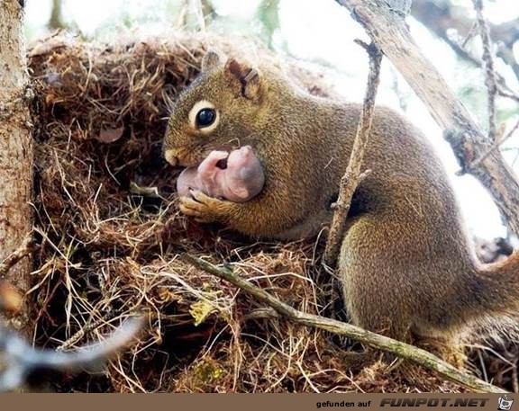 Sind das nicht tolle Bilder? Manche kennen wir schon,...