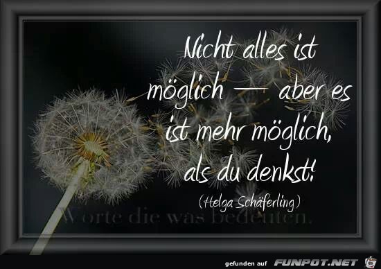 Nicht alles ist möglich Nicht alles ist möglich