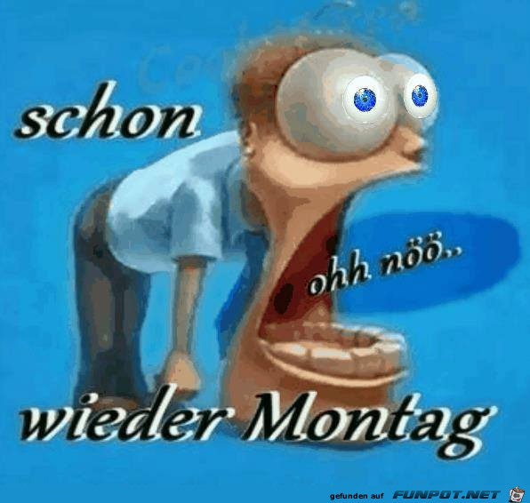 montag 