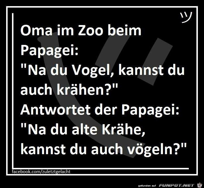 Oma im Zoo Oma im Zoo