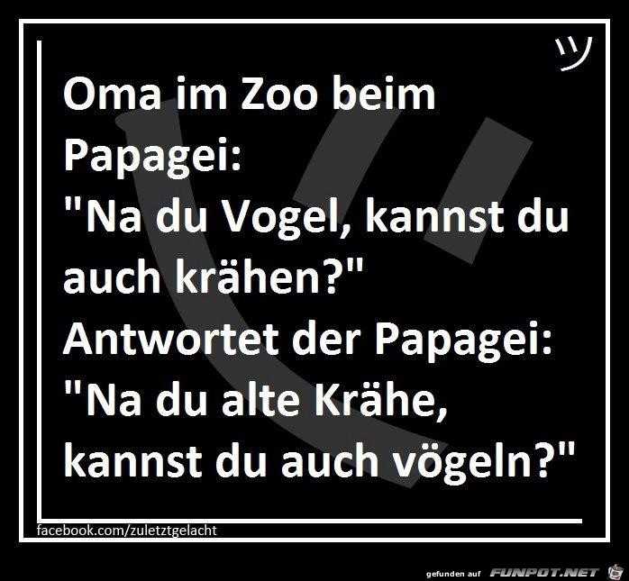 Oma im Zoo