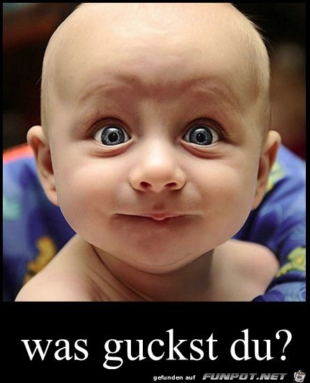 was guckst du was guckst du