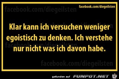 bild a5653418714e8560 bild a5653418714e8560