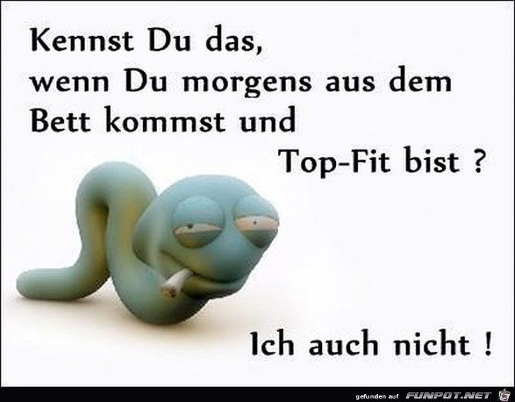 morgens morgens