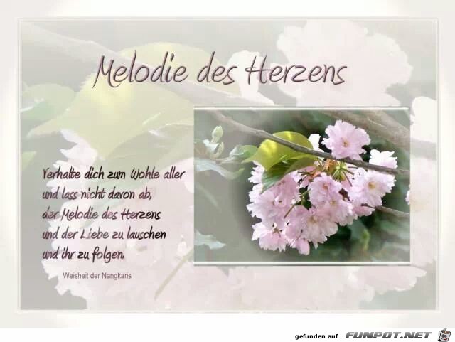 Melodie des Herzens Melodie des Herzens