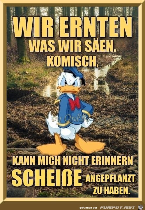 wir ernten was wir sen...