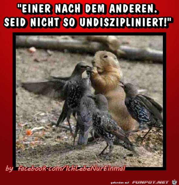 Einer nach dem anderen Einer nach dem anderen