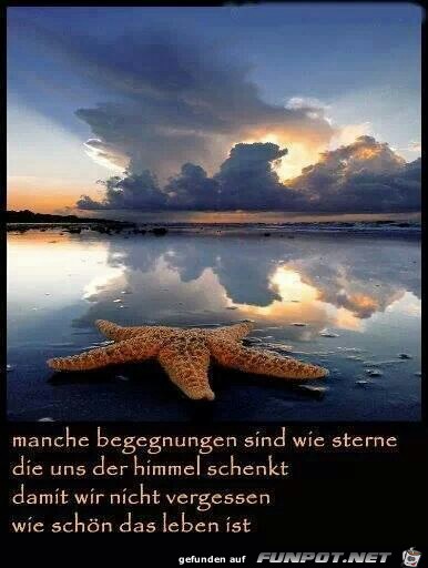 manche Begegnungen manche Begegnungen