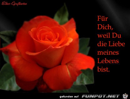 Fuer dich Fuer dich