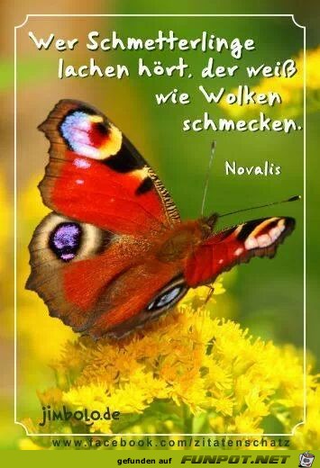 Wer Schmetterlinge lachen hört... Wer Schmetterlinge lachen hört...