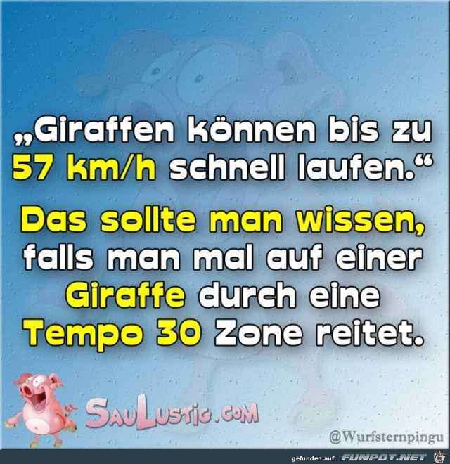 Giraffen-sind-schnell Giraffen-sind-schnell
