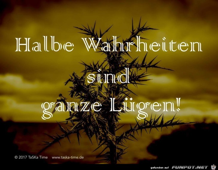 halbe Wahrheiten halbe Wahrheiten