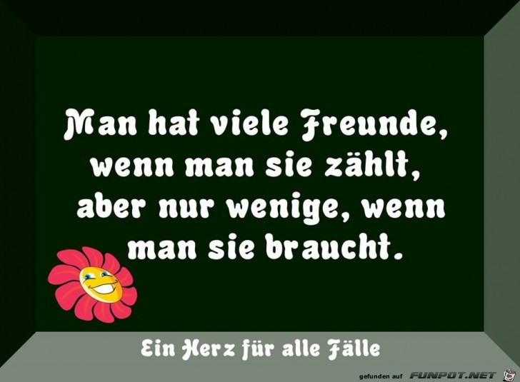 Man hat viele Freunde