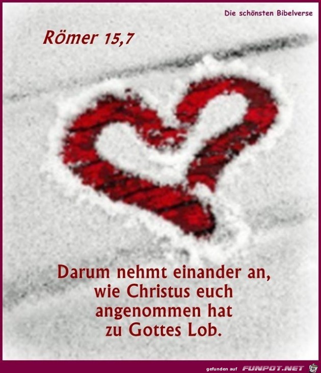 roemer 15 7