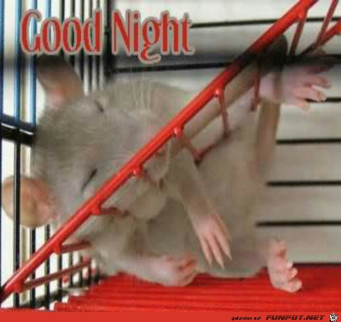 gute Nacht gute Nacht