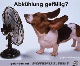 Abkuehlung Abkuehlung